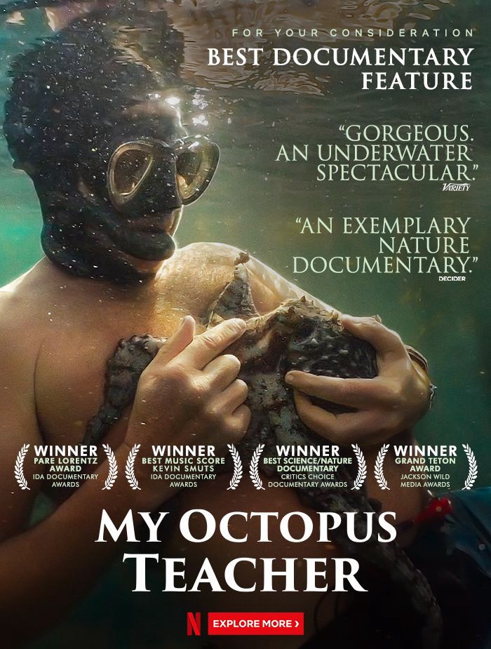Cô giáo bạch tuộc | My Octopus Teacher (2020)